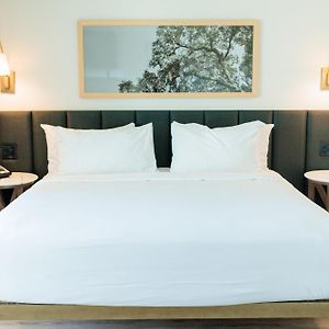 One-Bedroom King Suite